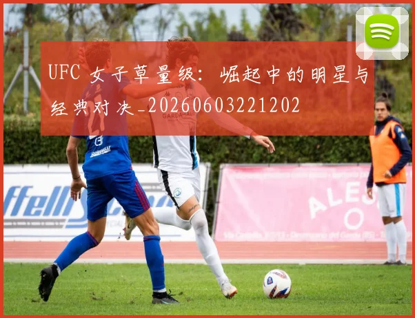 UFC 女子草量级：崛起中的明星与经典对决_20260603221202