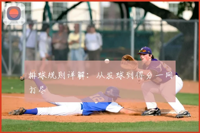 排球规则详解：从发球到得分一网打尽